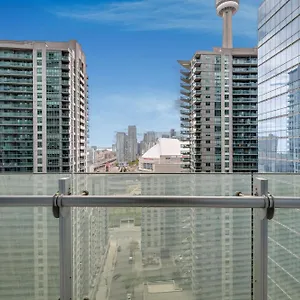 York 1 , Toronto Canada